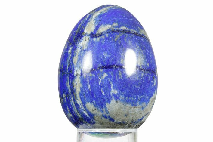 Polished Lapis Lazuli Egg - Pakistan #352502